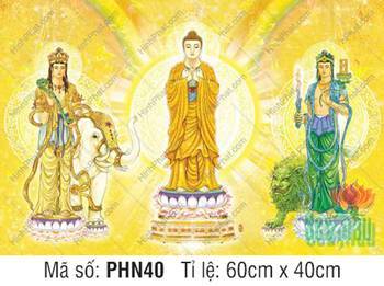 Hình Hoa Nghiêm Tam Thánh PHN40, tư thế đứng uy nghi
