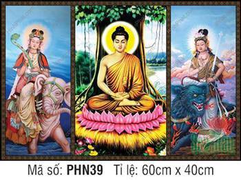 Hình Hoa Nghiêm Tam Thánh đẹp PHN39, tọa thiền cội Bồ Đề