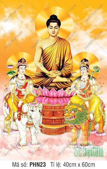 Hình Thích Ca Tam Thánh PHN23, tôn diện trang nghiêm tự tại