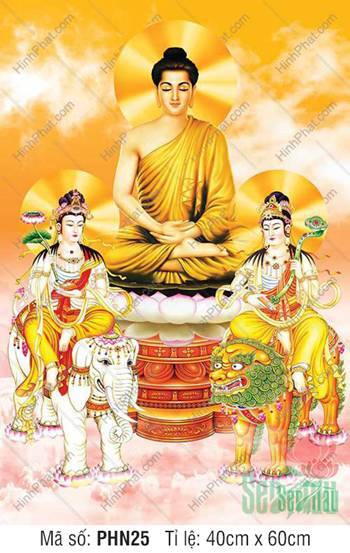 Hoa Nghiêm Tam Thánh PHN25, tôn dung rạng ngời trên nền vàng óng