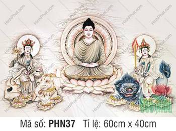 Hoa Nghiêm Tam Thánh PHN37, nét vẽ thanh tao tinh xảo