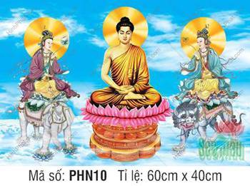 Thích Ca Tam Thánh PHN10, tĩnh tại nét vẽ Đức Phật thủ ấn thiền định