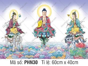 Tranh Hoa Nghiêm Tam Thánh PHN30, biển mây ngũ sắc