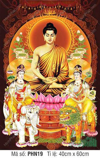 Tranh Hoa Nghiêm Tam Thánh đẹp PHN19, ấn tượng lọng che cổ kính