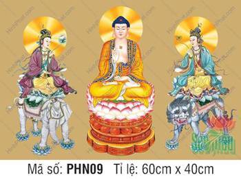 Tranh Hoa Nghiêm Tam Thánh kích thước lớn PHN09, y bào tím xanh