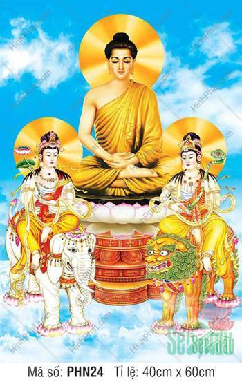 Tranh Thích Ca Tam Thánh PHN24, sắc tướng tôn nghiêm ấn thiền