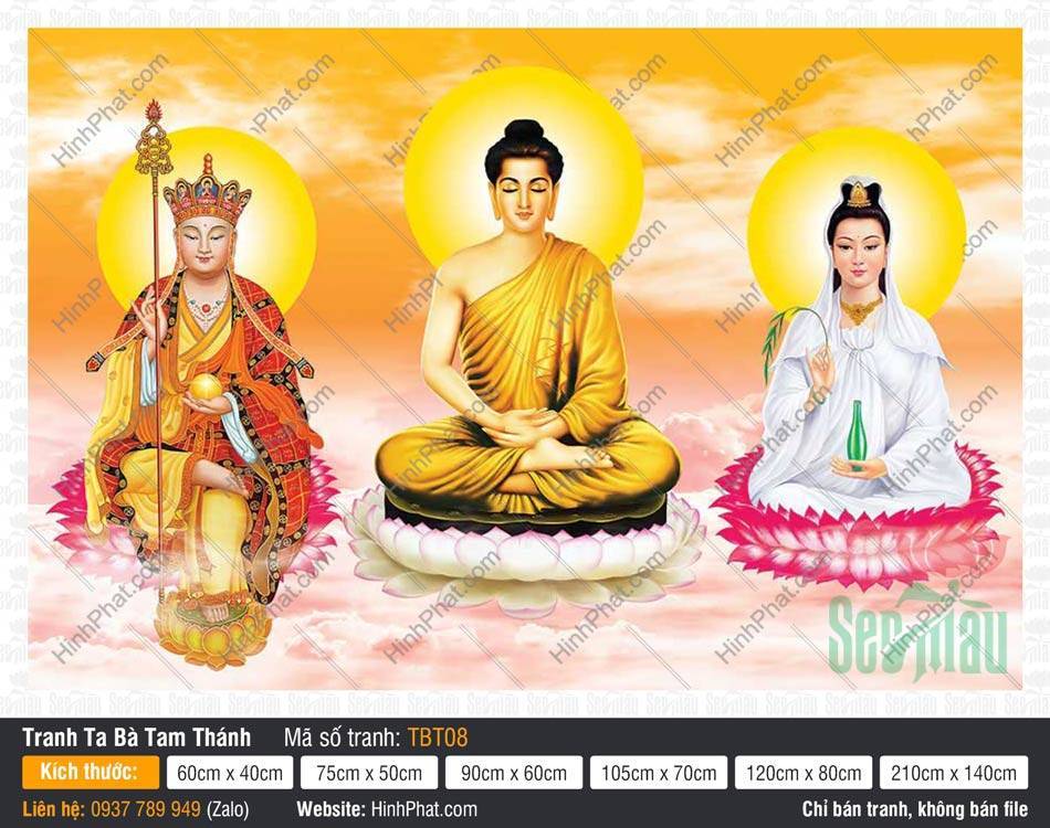 Hình Ta Bà Tam Thánh, Sa Bà Tam Thánh TBT08 Hình Ta Bà Tam Thánh Sa Bà Tam Thánh TBT08 ba vị ngự tòa sen hồng nền vàng rực rỡ