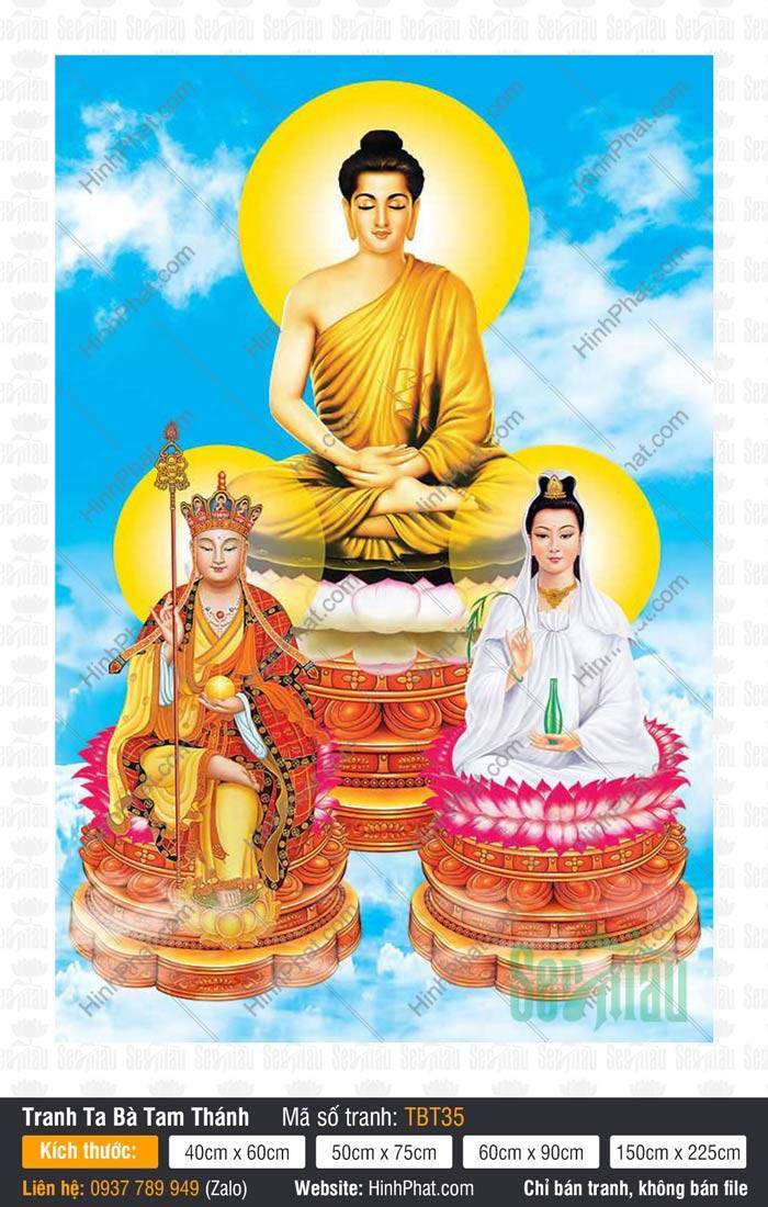 Sa Bà Tam Thánh TBT35 Sa Bà Tam Thánh TBT35 Đức Thích Ca ngự bậc cao hai vị Bồ Tát tọa phía trước nền trời xanh