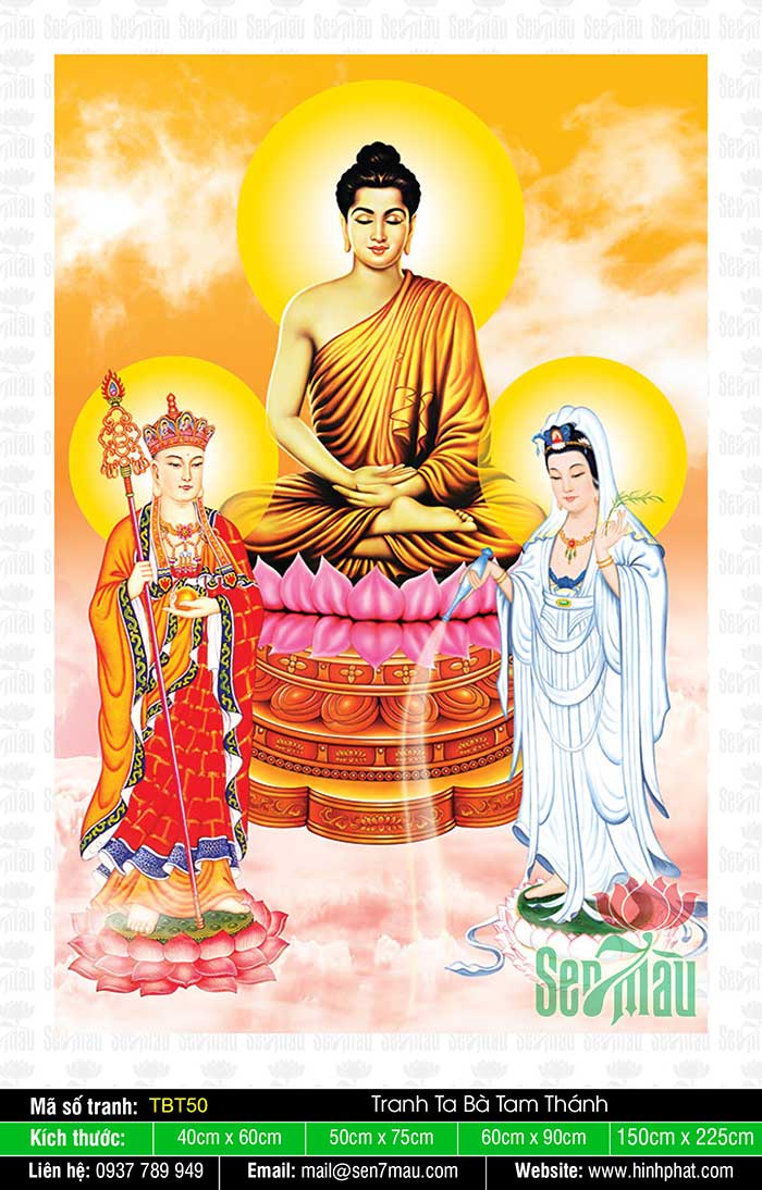 Sa Bà Tam Thánh - Phật Thích Ca Quan Âm Bồ Tát Địa Tạng Bồ Tát TBT50
