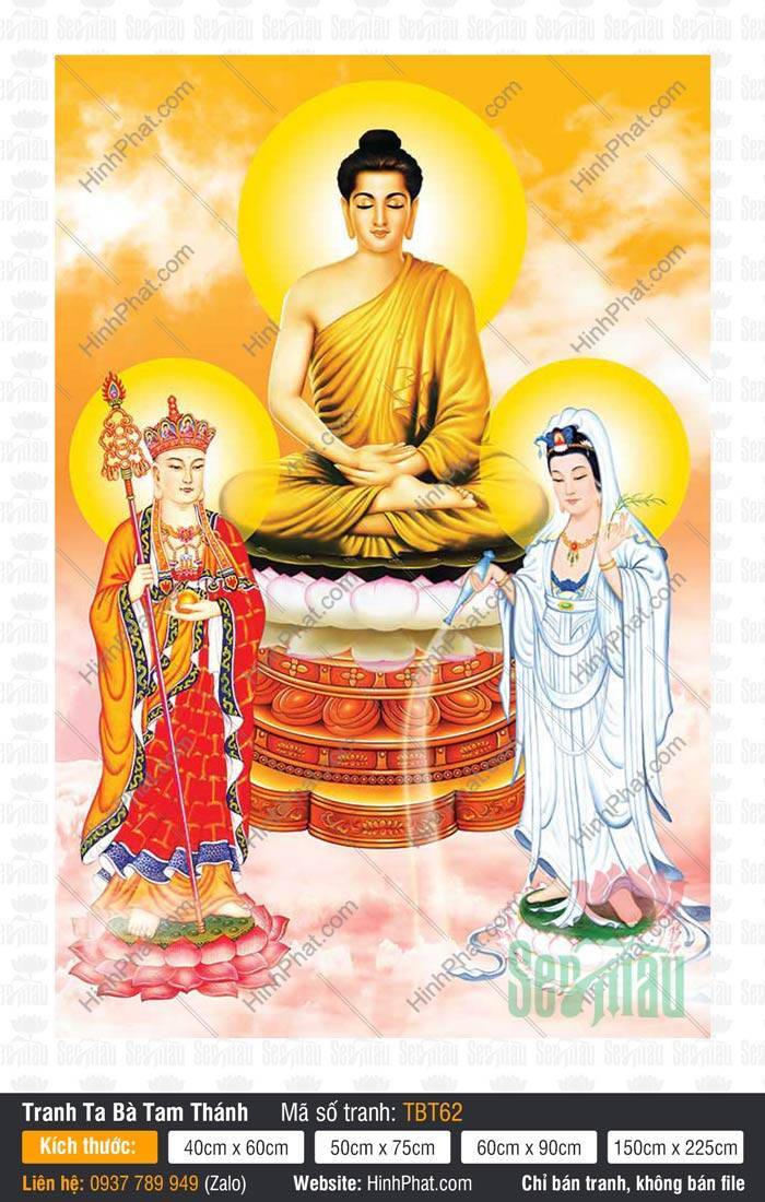 Sa Bà Tam Thánh TBT62 Sa Bà Tam Thánh TBT62 họa nét Đức Quan Âm áo lam ngự tòa sen trắng