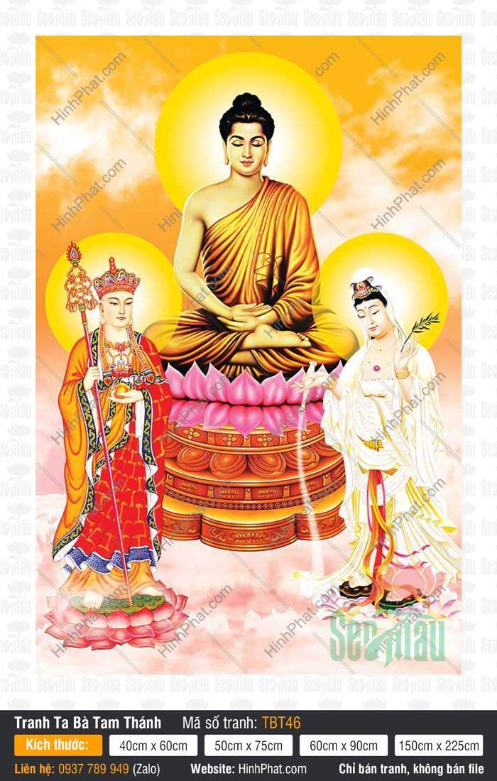 Ta Bà Tam Thánh TBT46 Ta Bà Tam Thánh TBT46 họa hình ba vị tôn túc ngự trên tòa sen hồng
