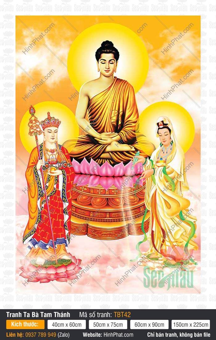 Tranh Sa Bà Tam Thánh TBT42 Tranh Sa Bà Tam Thánh TBT42 Đức Thích Ca tọa thiền cùng hai vị Bồ Tát