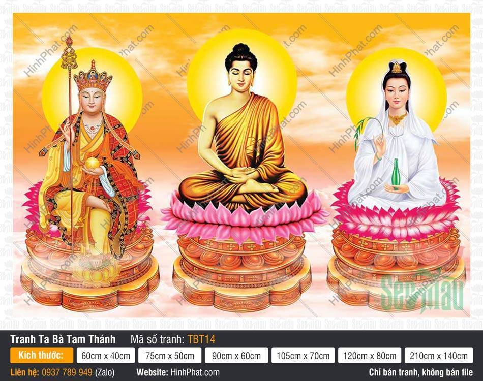 Tranh Ta Bà Tam Thánh TBT14 Tranh Ta Bà Tam Thánh TBT14 ba vị ngự tòa sen hồng đậm trên bệ đồng