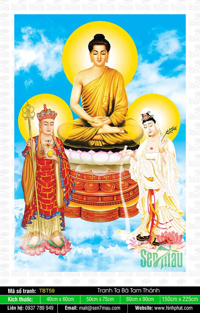 THƯ VẬN ĐỘNG ẤN TỐNG TAM TẠNG THÁNH ĐIỂN PHẬT GIÁO VIỆT NAM ĐẠI TẠNG KINH  TIẾNG VIỆT C200  Quỹ Đạo Phật Ngày Nay