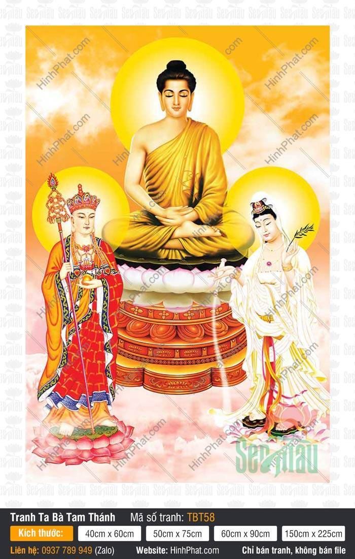 Tranh Ta Bà Tam Thánh, Sa Bà Tam Thánh TBT58 Tranh Ta Bà Tam Thánh, Sa Bà Tam Thánh TBT58 họa hình ba vị tôn túc ngự trên đài sen hồng rực rỡ