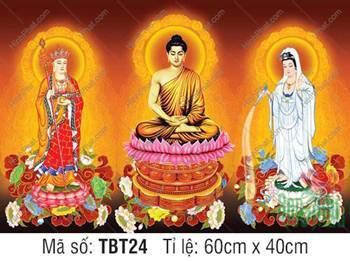 Hình Ta Bà Tam Thánh TBT24, Đức Thích Ca tọa đài sen hồng rực rỡ