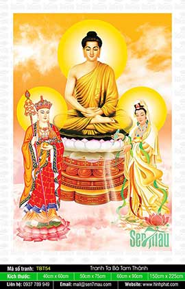 Hình Ta Bà Tam Thánh - Phật Thích Ca Quan Âm Bồ Tát Địa Tạng Bồ Tát TBT54
