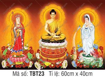 Hình Ta Bà Tam Thánh, Sa Bà Tam Thánh TBT23, Dáng Đứng Uy Nghiêm