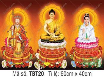 Sa Bà Tam Thánh TBT20, Đài Sen Trắng Hồng Giữa Hào Quang