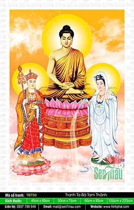 Sa Bà Tam Thánh - Phật Thích Ca Quan Âm Bồ Tát Địa Tạng Bồ Tát TBT50