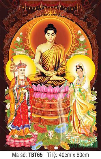 Sa Bà Tam Thánh TBT65, bối cảnh nền nâu đỏ cổ điển Sa Bà Tam Thánh TBT65, bối cảnh nền nâu đỏ cổ điển