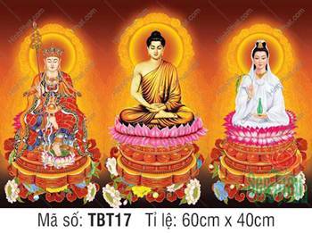 Sa Bà Tam Thánh TBT17, Hào Quang Hoa Văn Sắc Sảo Cổ Kính