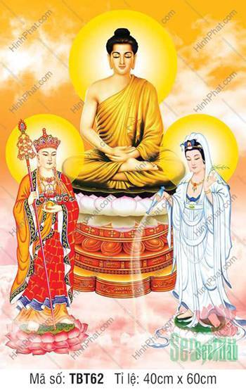 Sa Bà Tam Thánh TBT62, tầng sen trắng thanh tịnh tinh khôi Sa Bà Tam Thánh TBT62, tầng sen trắng thanh tịnh tinh khôi