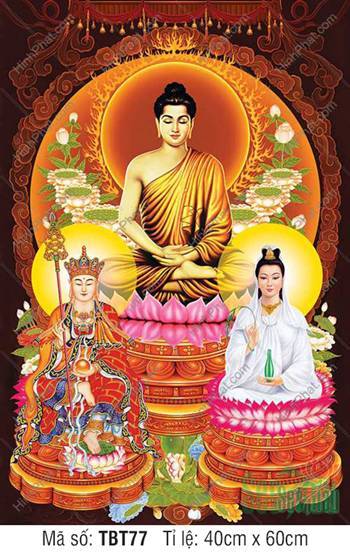 Sa Bà Tam Thánh TBT77, hai vị Bồ Tát ngồi đài sen Sa Bà Tam Thánh TBT77, hai vị Bồ Tát ngồi đài sen