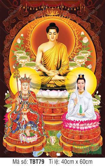 Ta Bà Tam Thánh TBT79, ba vị tôn túc ngự tọa kiết già Ta Bà Tam Thánh TBT79, ba vị tôn túc ngự tọa kiết già