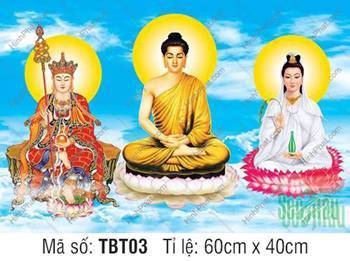 Ta Bà Tam Thánh, Sa Bà Tam Thánh TBT03, Ánh Hào Quang Vàng