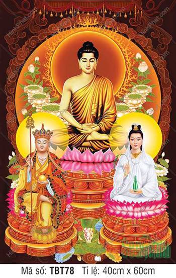 Ta Bà Tam Thánh, Sa Bà Tam Thánh TBT78, tư thế tọa thiền Ta Bà Tam Thánh, Sa Bà Tam Thánh TBT78, tư thế tọa thiền