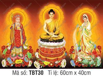 Tranh Sa Bà Tam Thánh TBT30, Đức Quán Thế Âm mặc y phục vàng