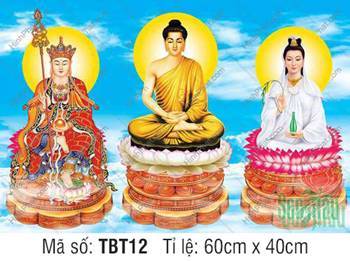 Tranh Sa Bà Tam Thánh TBT12, Đức Thích Ca tọa sen trắng hồng