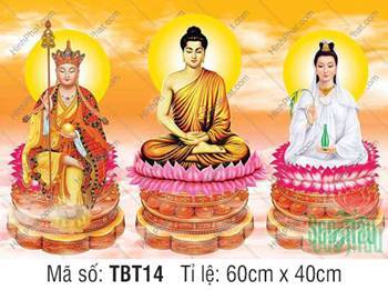 Tranh Ta Bà Tam Thánh TBT14, Sắc Sen Hồng Đậm Nổi Bật