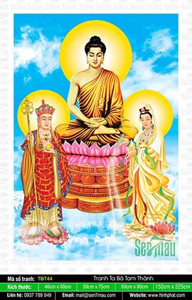 Tranh Ta Bà Tam Thánh - Phật Thích Ca Quan Âm Bồ Tát Địa Tạng Bồ Tát TBT44