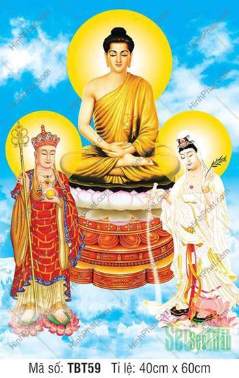 Tranh Ta Bà Tam Thánh TBT59, đóa sen trắng bừng sáng trời lam Tranh Ta Bà Tam Thánh TBT59, đóa sen trắng bừng sáng trời lam