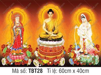 Tranh Ta Bà Tam Thánh, Sa Bà Tam Thánh TBT28, Ba Vị Ngự Tòa Sen Trắng