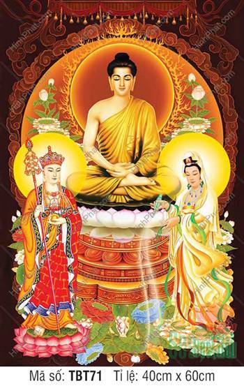 Tranh Ta Bà Tam Thánh TBT71, đài sen trắng bối cảnh nền nâu Tranh Ta Bà Tam Thánh TBT71, đài sen trắng bối cảnh nền nâu