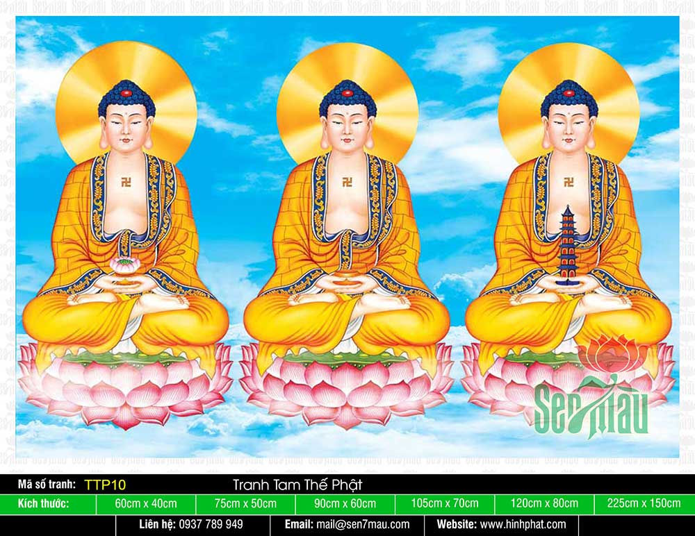 Hình Tam Thế Chư Phật TTP10