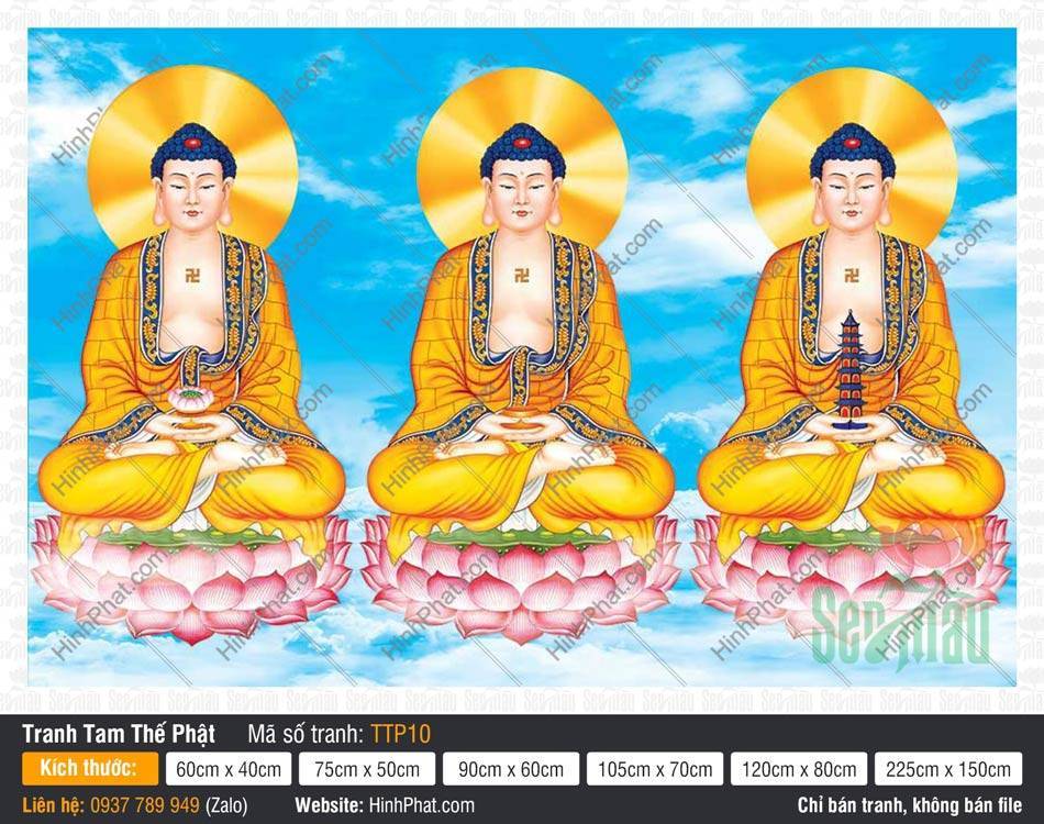 Hình Tam Thế Chư Phật TTP10 Hình Tam Thế Chư Phật TTP10 họa ba Đức Phật tọa sen nền trời xanh mây trắng