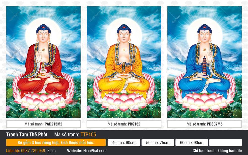 Hình Tam Thế Chư Phật TTP105 Hình Tam Thế Chư Phật TTP105 mặc áo ba màu tọa trên đài sen hồng tôn nghiêm