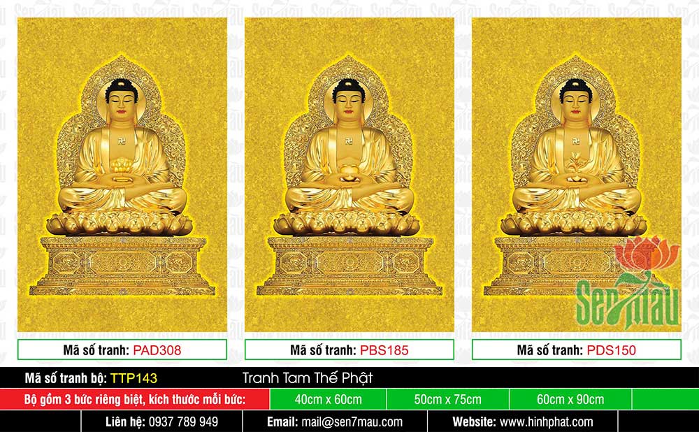 Hình Tam Thế Chư Phật TTP143