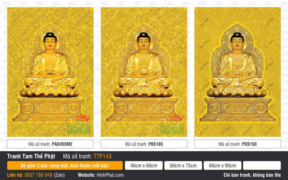 Hình Tam Thế Chư Phật TTP143 Hình Tam Thế Chư Phật TTP143 khắc họa ba Đức Phật ngự đài sen báu hoàng kim