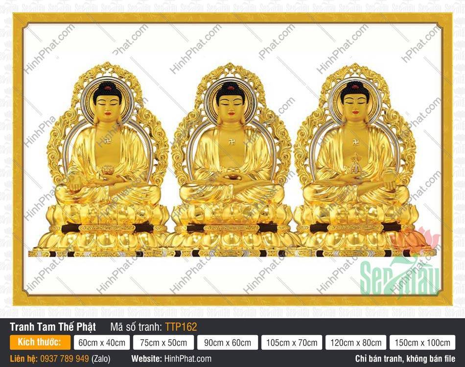 Hình Tam Thế Chư Phật TTP162 Hình Tam Thế Chư Phật TTP162 sắc hoàng kim ngự trên bệ sen liền dải vững chãi
