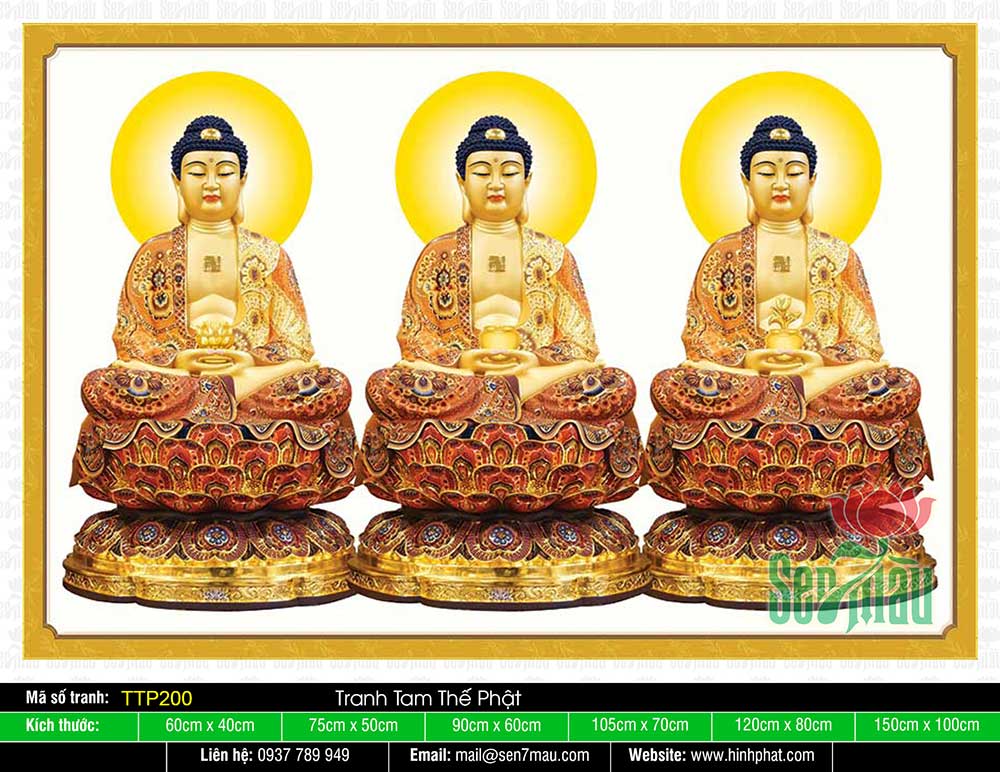 Hình Tam Thế Chư Phật TTP200