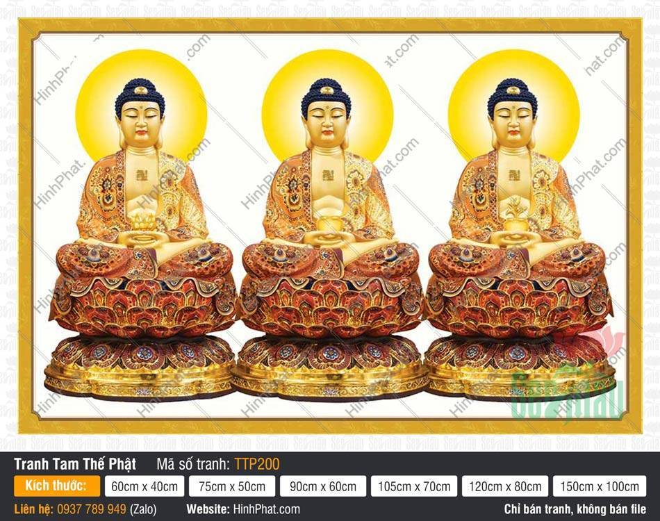 Hình Tam Thế Chư Phật TTP200 Hình Tam Thế Chư Phật TTP200 vẽ ba Đức Phật ngự đài sen gấm cổ kính