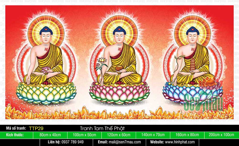 Hình Tam Thế Chư Phật TTP29