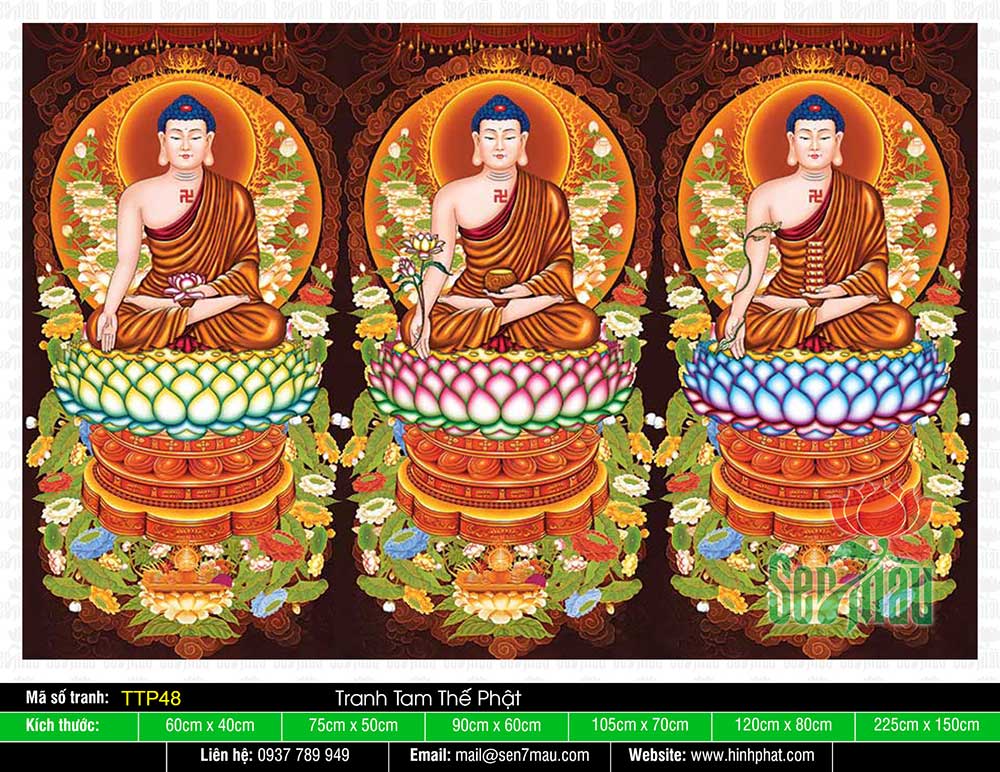 Hình Tam Thế Chư Phật TTP48