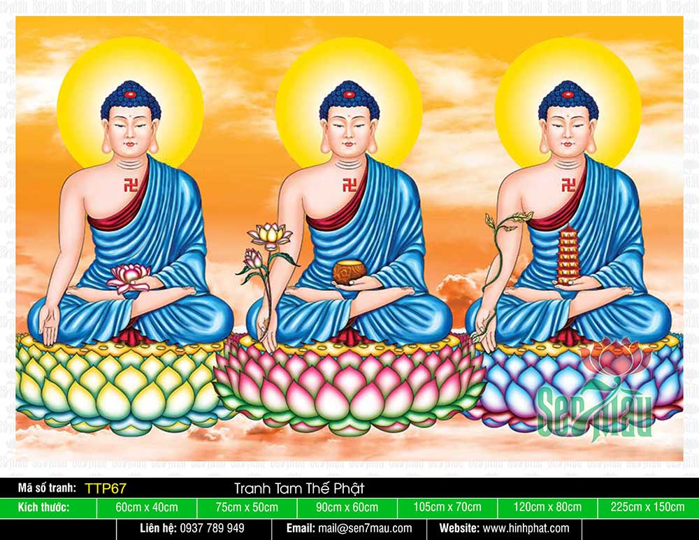 Hình Tam Thế Chư Phật TTP67