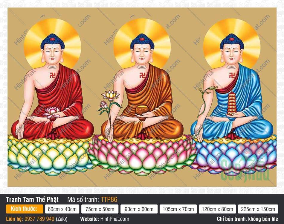Hình Tam Thế Chư Phật TTP86 Hình Tam Thế Chư Phật TTP86 họa ba vị Phật mặc y phục ba màu sắc